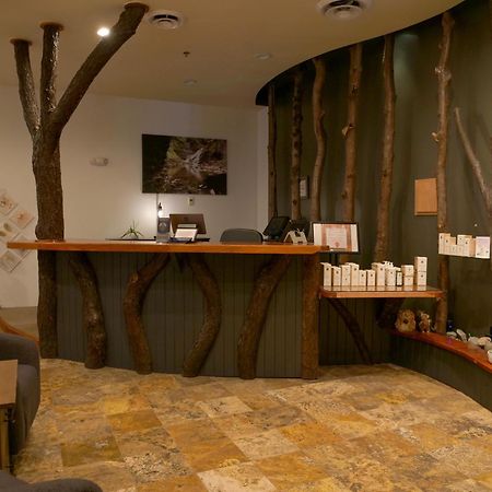 Hope Lake Lodge & Indoor Waterpark Cortland Ngoại thất bức ảnh